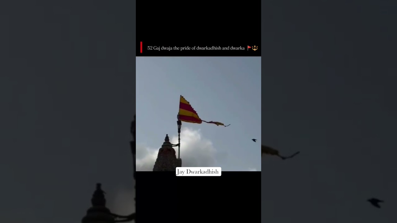 Jay Dwarkadhish #temple #devbhumidwarka #dwarkadhish #song #viral