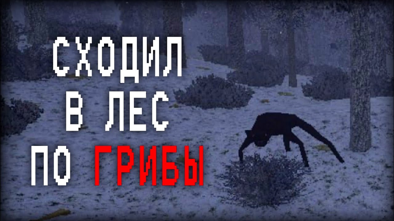 Хорроры про леса, в которых происходит что-то странное...