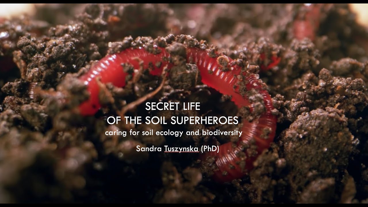 Secret life of the Soil Superheroes