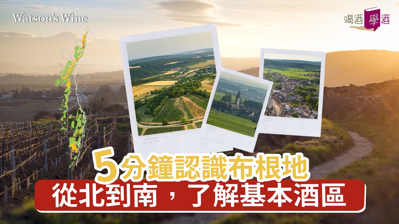 #wine101 5分鐘認識布根地！五大產區及布根地分級制度｜喝酒 • 學酒｜Watson’s Hour by Watson’s Wine