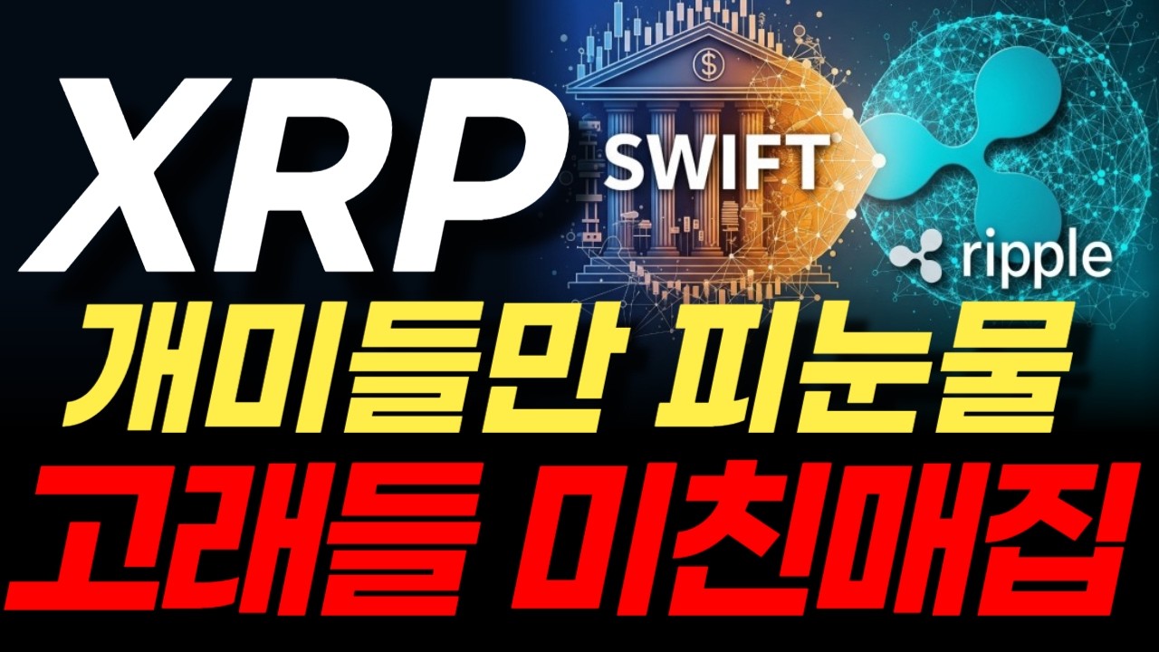 [리플코인 전망] XRP, 24시간 내 큰 거 옵니다?! 골드만삭스 내부 문건 유출과 리플 세력의 역발상 매집
