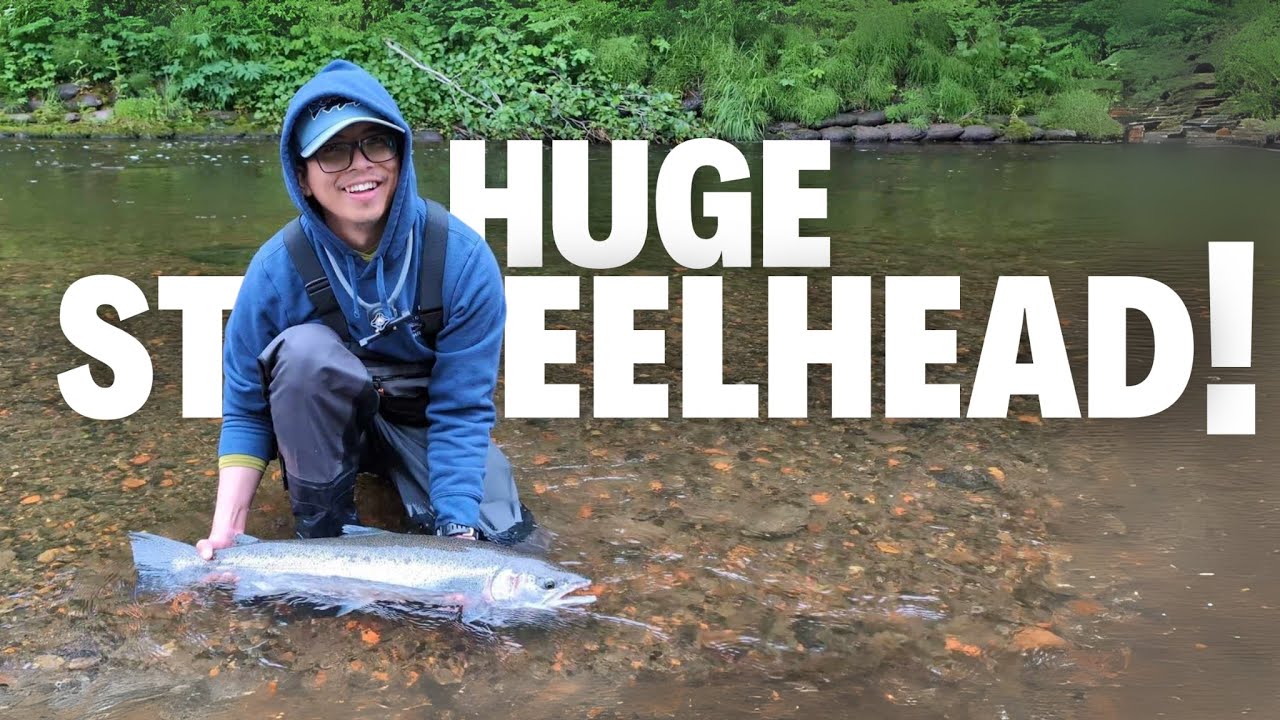 Huge Wild Steelhead Surprise While Fishing for King Salmon in a Tiny Alaskan River