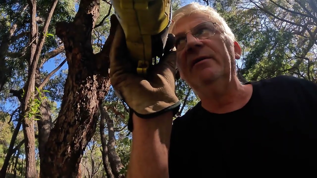 TWW-7 Busfires & Dugites