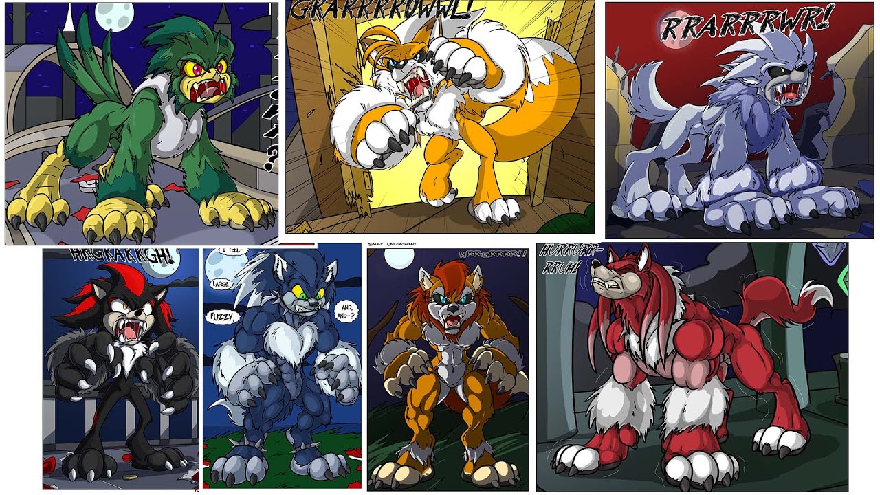 [BLACK-RAT] SONIC TFS COMPILATION