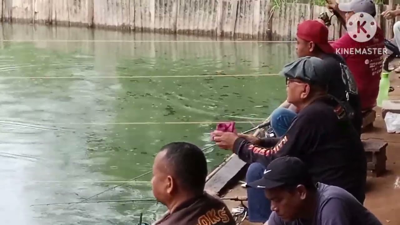 mancing harian serasa lomba boss!!