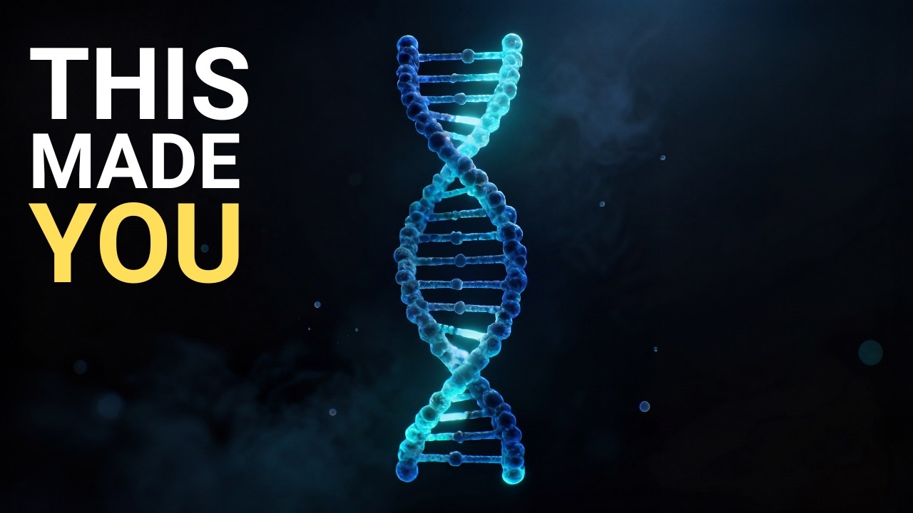 How Does DNA Know How to Build You?