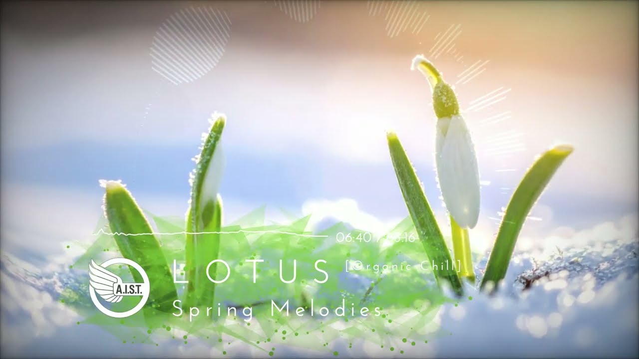 LOTUS  -  Spring Melodies. Warm March | Organic Chill Mix