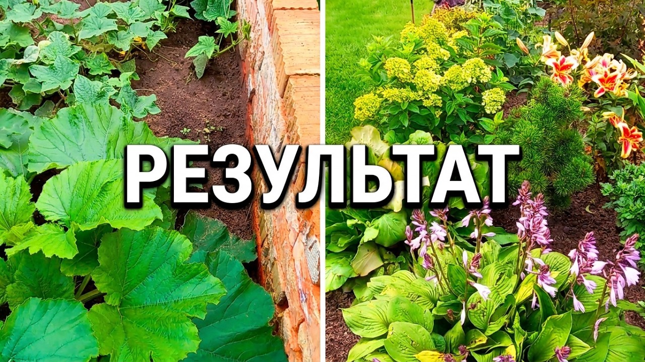 Создаю миксбордер из многолетников  Часть 2   Жизнь в саду