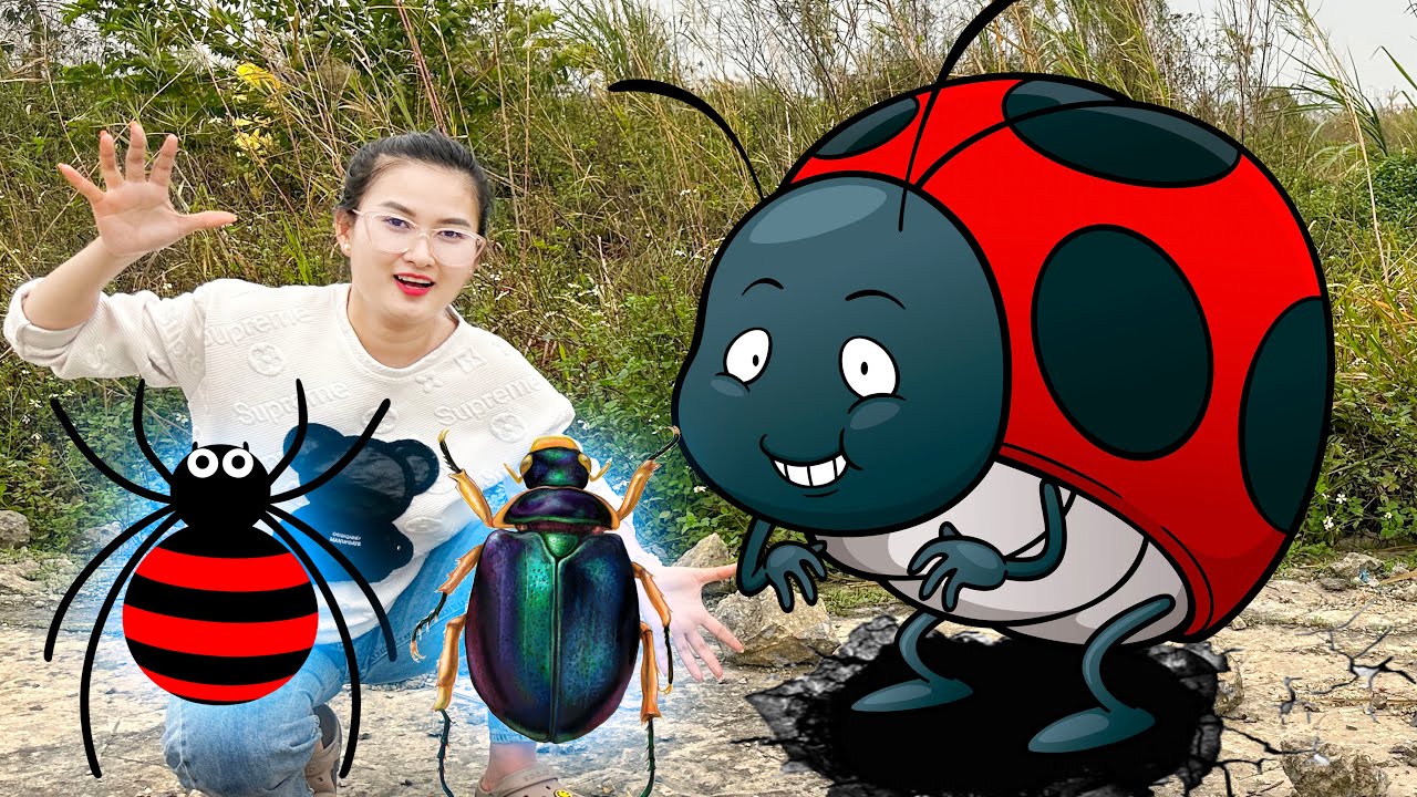 Changcady và những con bọ khổng lồ, nhờ máy xúc, xe ben , xe cần cẩu giúp đỡ