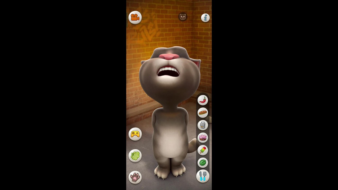Talking Tom Cat  #shorts #livestream