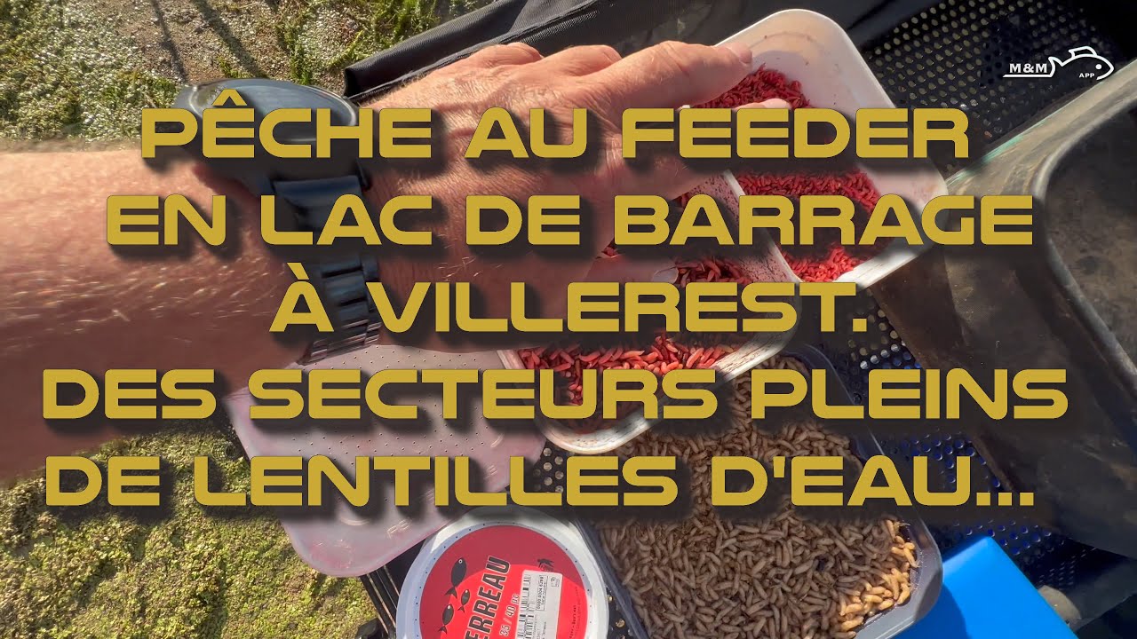 Une pêche au FEEDER en octobre depuis la plage du BARRAGE de VILLEREST (42)