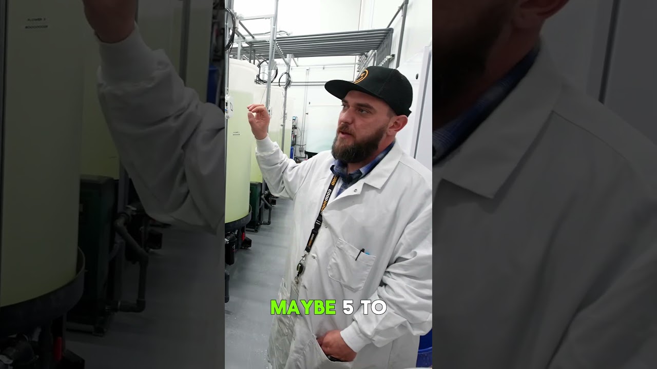 Growlink x H.E. Anderson: Fertigation Skid Testimonials #shorts