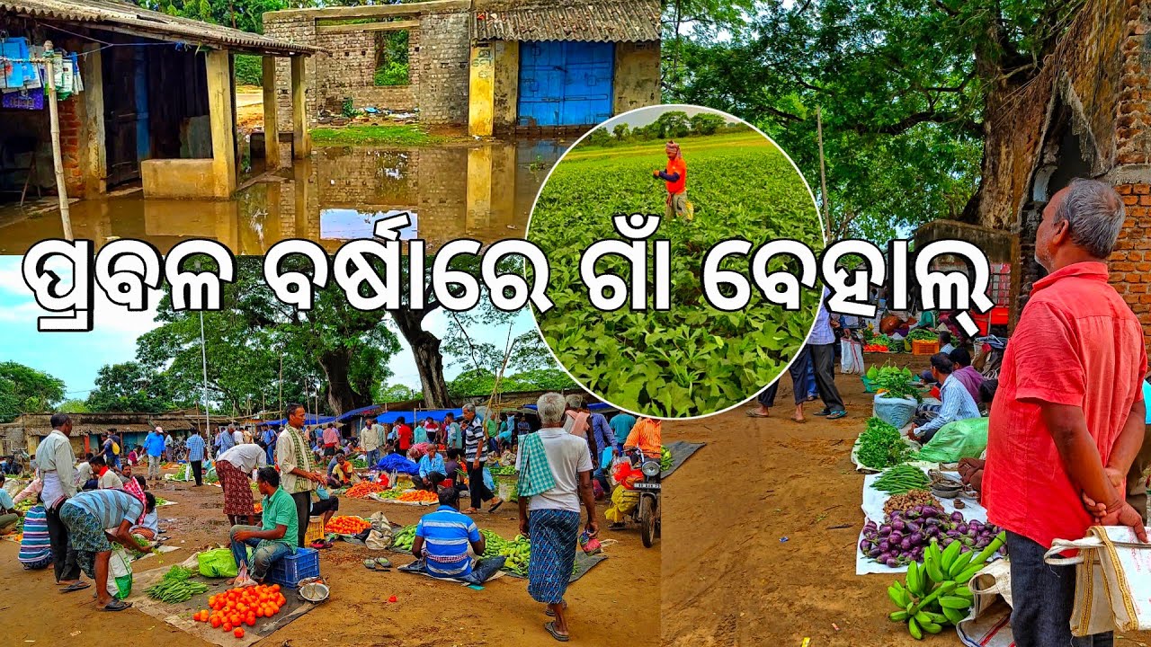 ଗାଁରେ ପ୍ରବଳ ବର୍ଷାରେ ସବୁ ବେହାଲ୍ 🌧️ l Heavy rainfall in Village l ହାଟରେ ପାଣି
