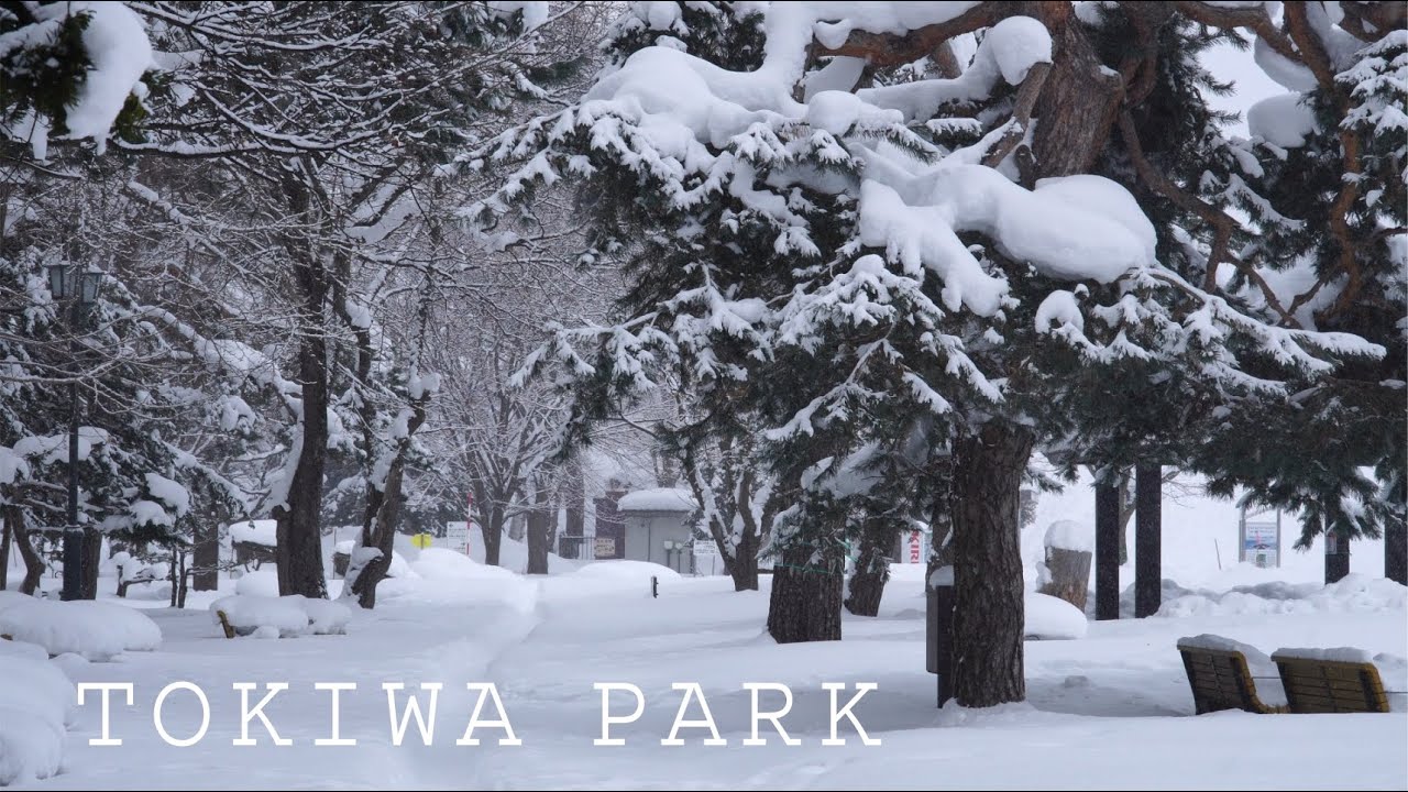 シリーズ雪景色 015　寒さが厳しく風の強い常磐公園