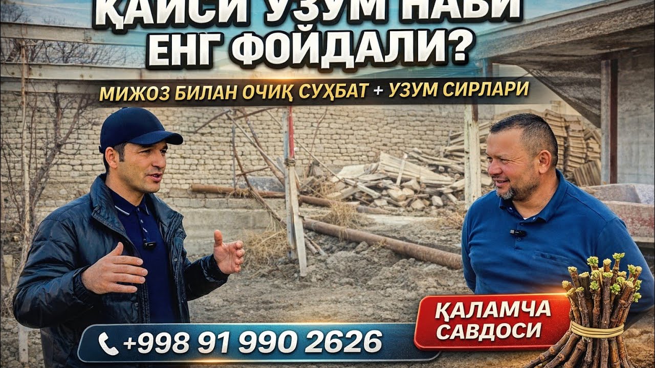 “Mijoz bilan rost gap: qaysi uzum haqiqatan pul keltiradi?”