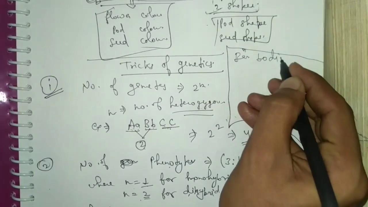 Genetics tips and tricks for AIPMT 2018