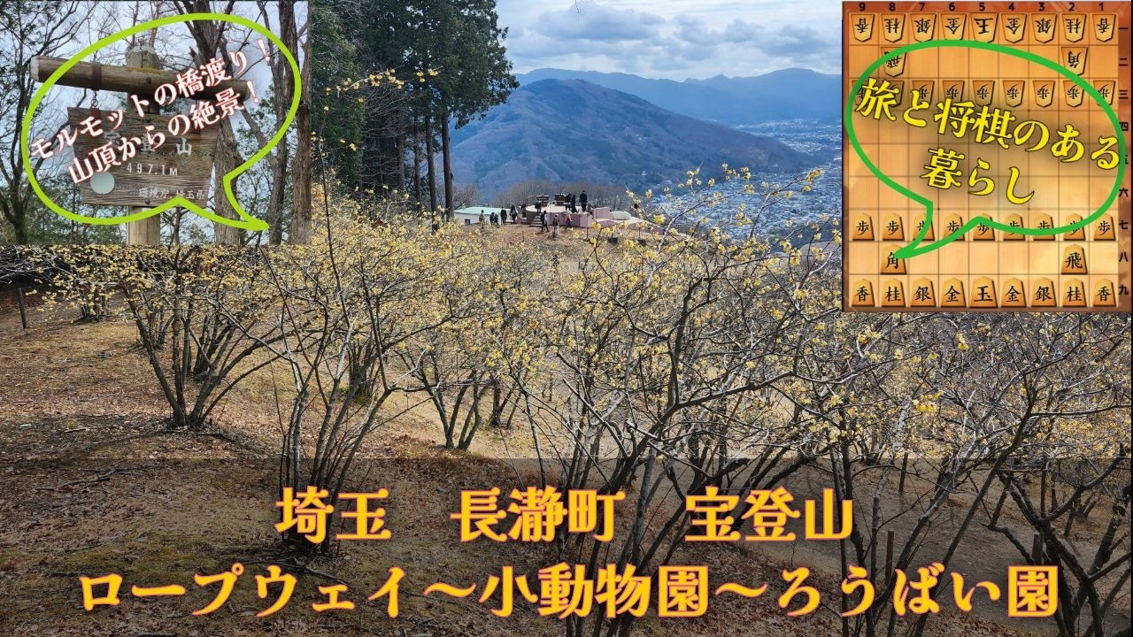 長瀞宝登山　ろうばいハイキング