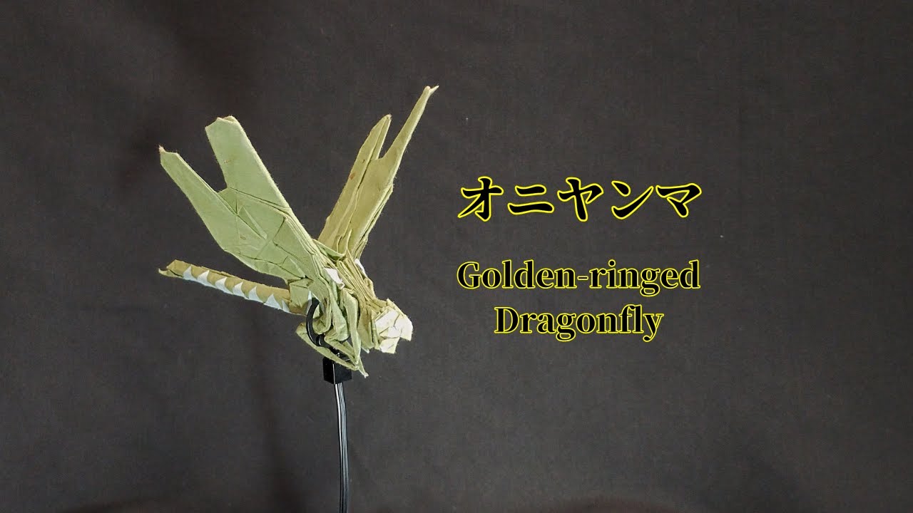 【初見折り】中村楓さん創作・オニヤンマを折ってみた