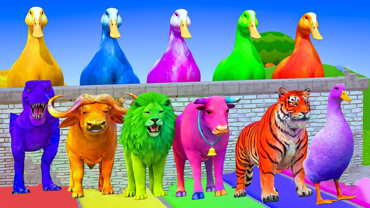 Long Slide Game With Elephant Gorilla Buffalo Hippopotamus Tiger 3d Animal Game Funny 3d Animals