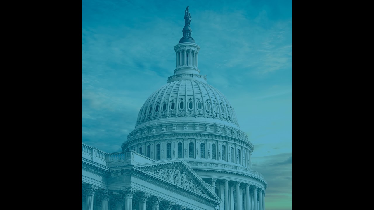 Pathways to Influence: Finding Your Voice as a Planning Advocate