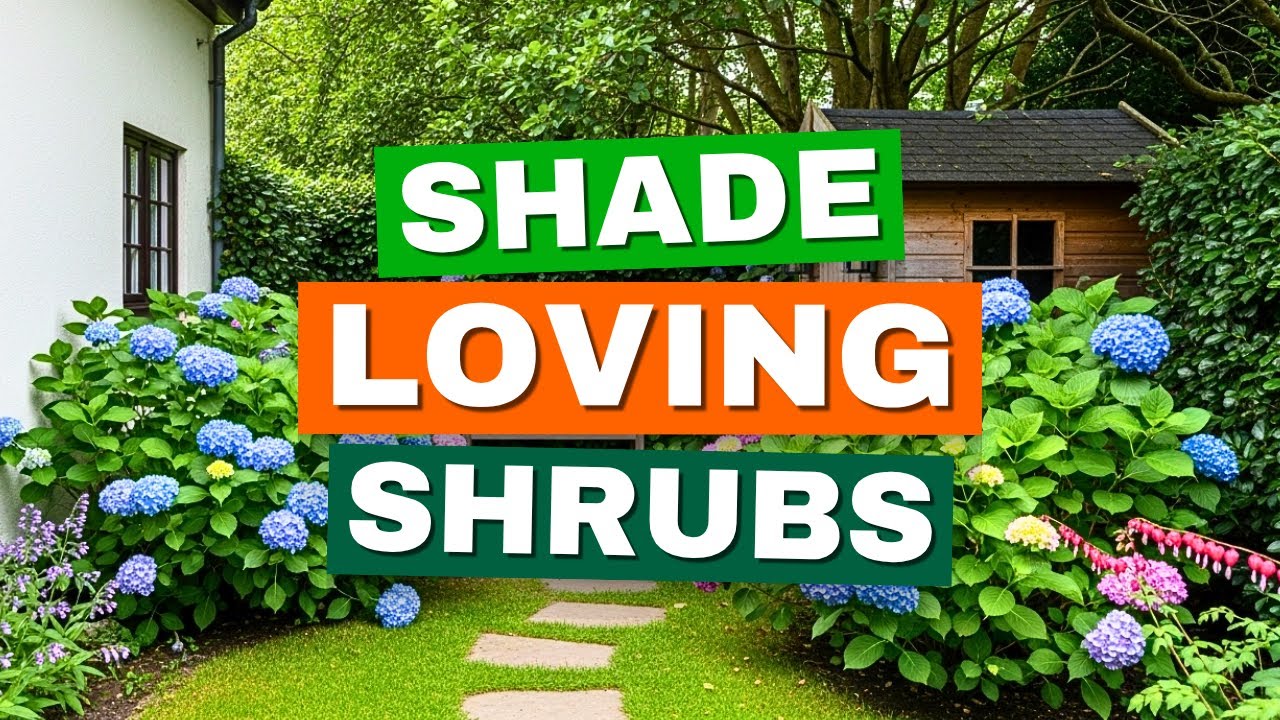 5 Shade-Loving Shrubs That BLOOM in the Dark! 😱