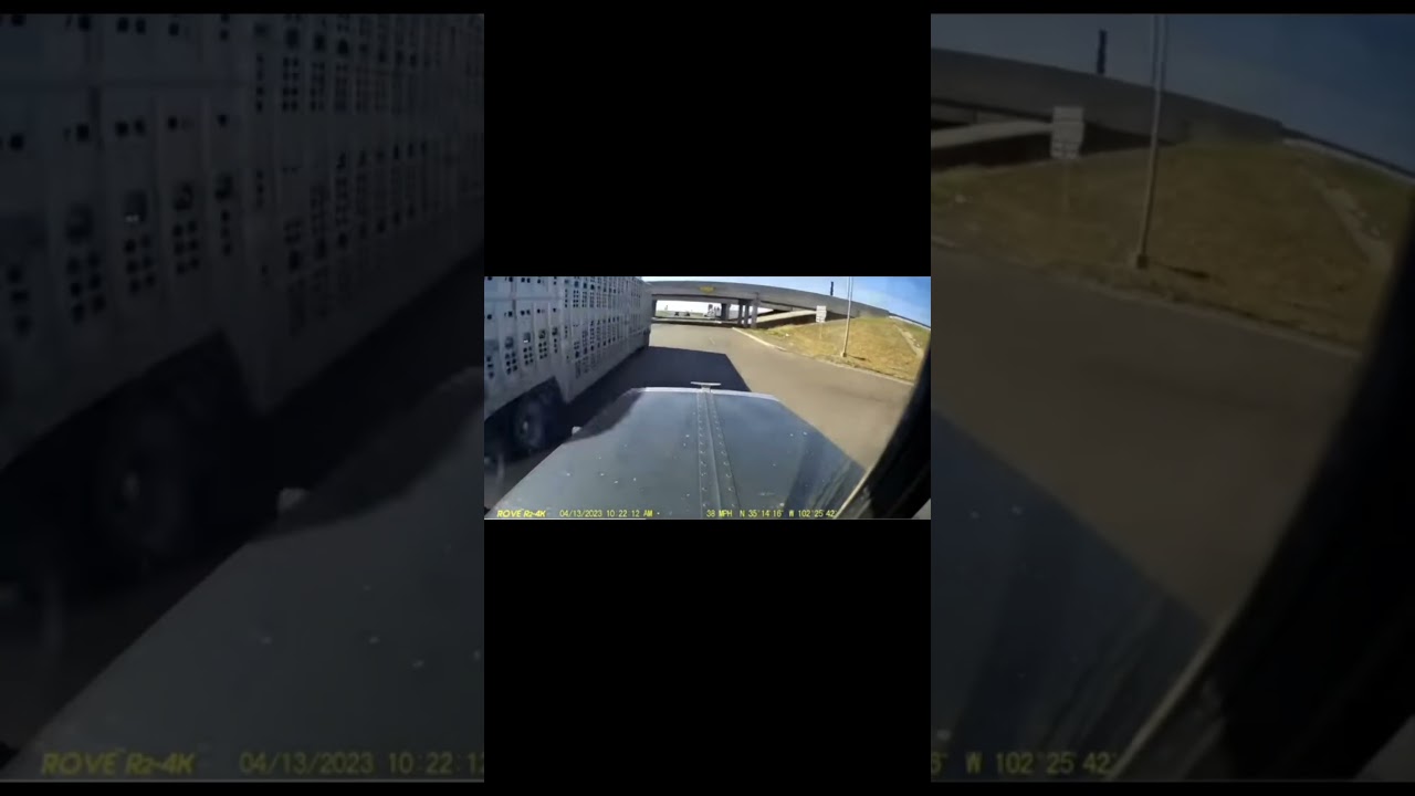 semi truck  pulls out infront of bull hauler trucker SMH