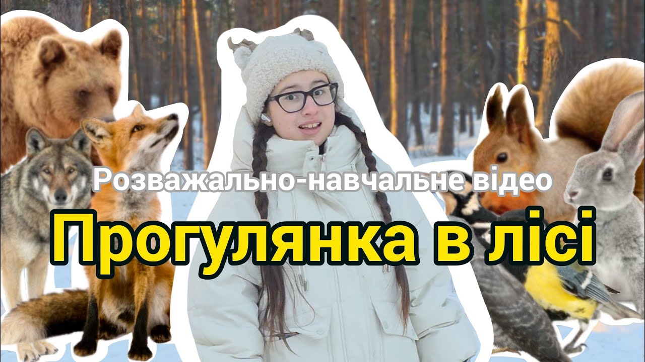 🌲Прогулянка в лісі | Хто живе в лісі? 🐿️ | Відео для малюків 1-3 років