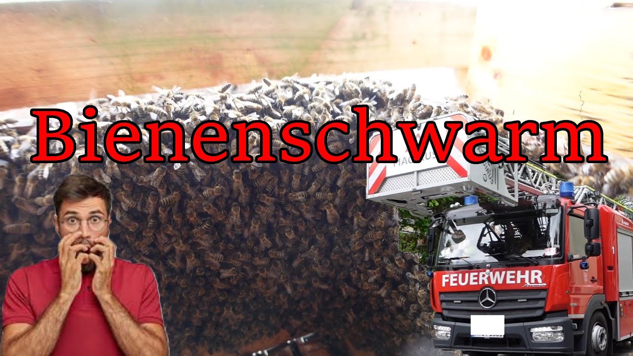 Schwarmfang für Profis, Bienenfänger Jupp im Einsatz