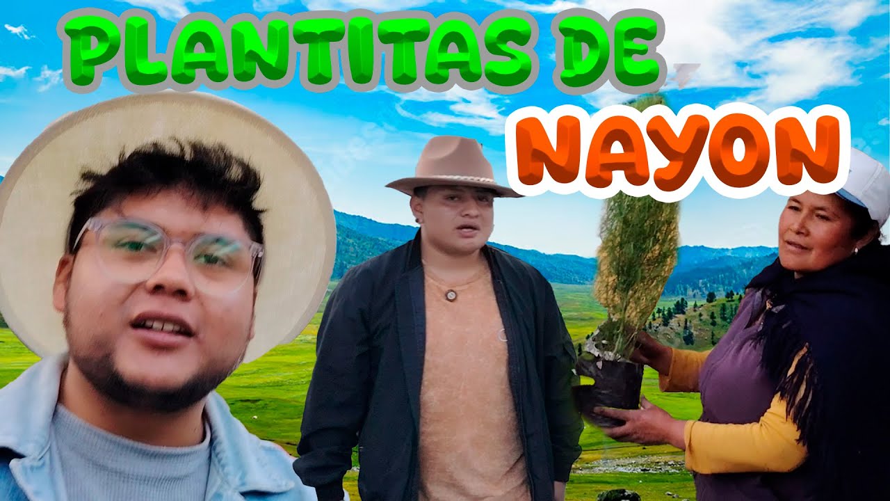 COMPRAMOS PLANTAS HERMOSAS EN NAYON | Ariel Chagmana