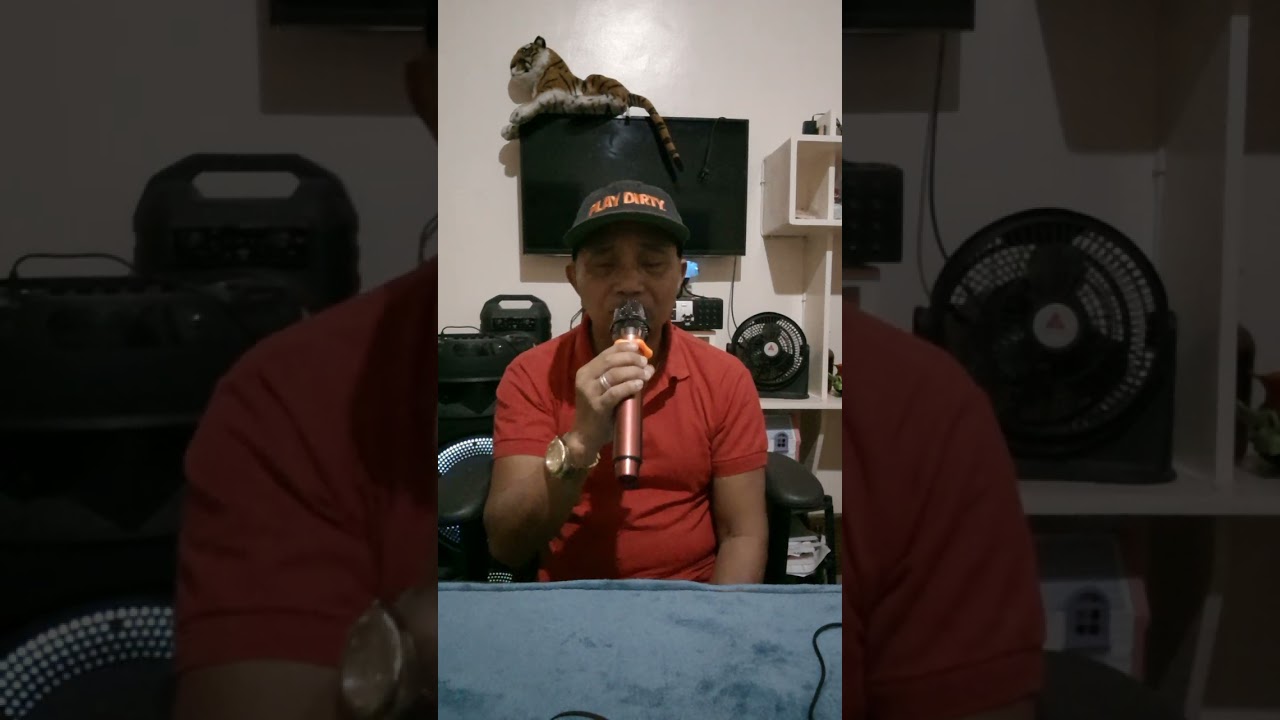 The Journy by Leah Salonga ( Cover by Ben de la Cruz)