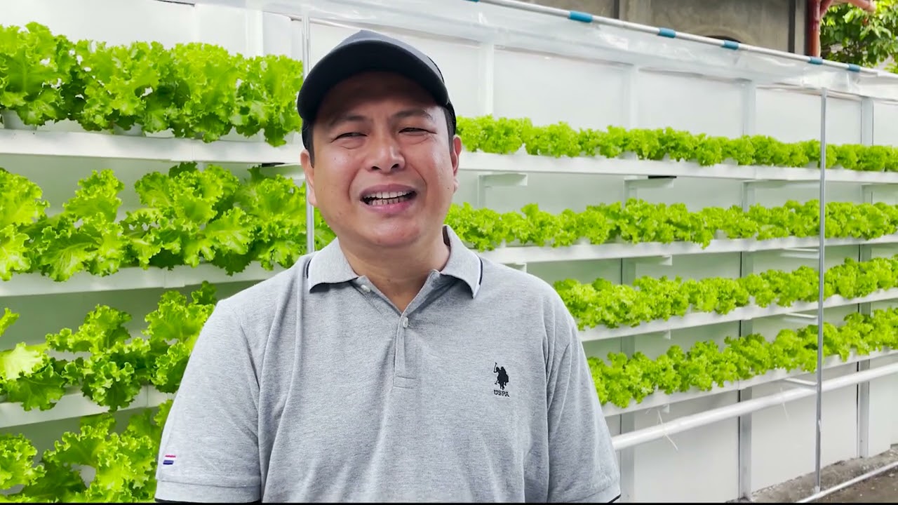 Final Update Lettuce sa Gilid  ng Pader + Learnings (Water Flow Rate, Timer, Insect Prevention)