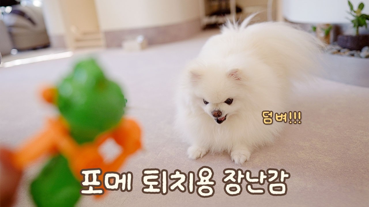 이걸로 다들 잘 논다며… 우리 애들은 왜이래…?