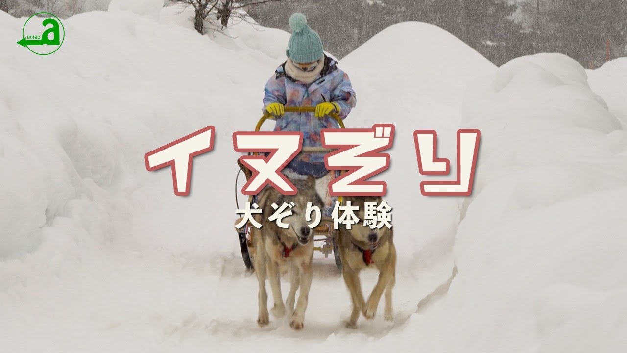 犬ぞり体験【北海道富良野市】