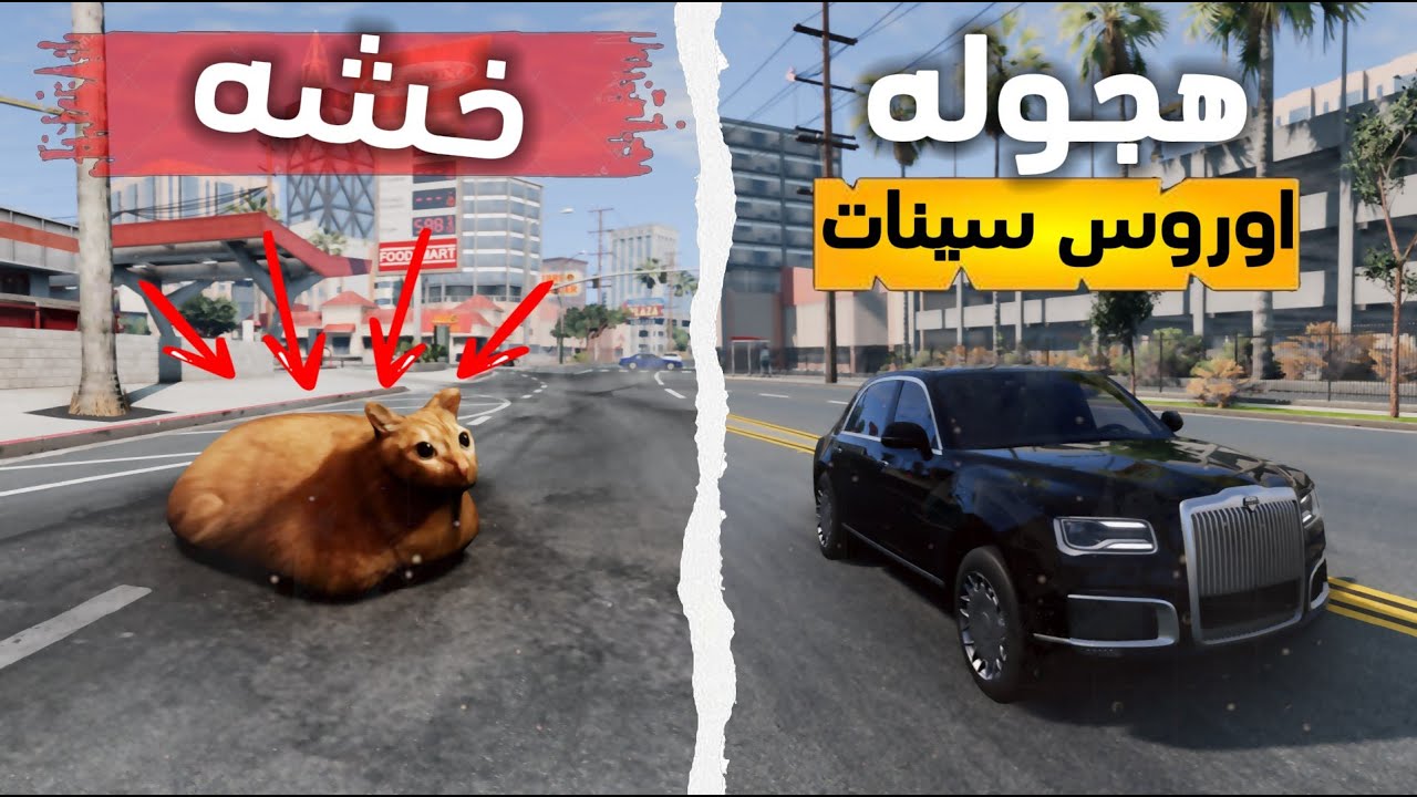محاكي الحوادث :هجوله بسيارت وزير 👌🏼ماتوقعت نشاطها زي كذا وخشه بقطو 😂: BeamNG.drive