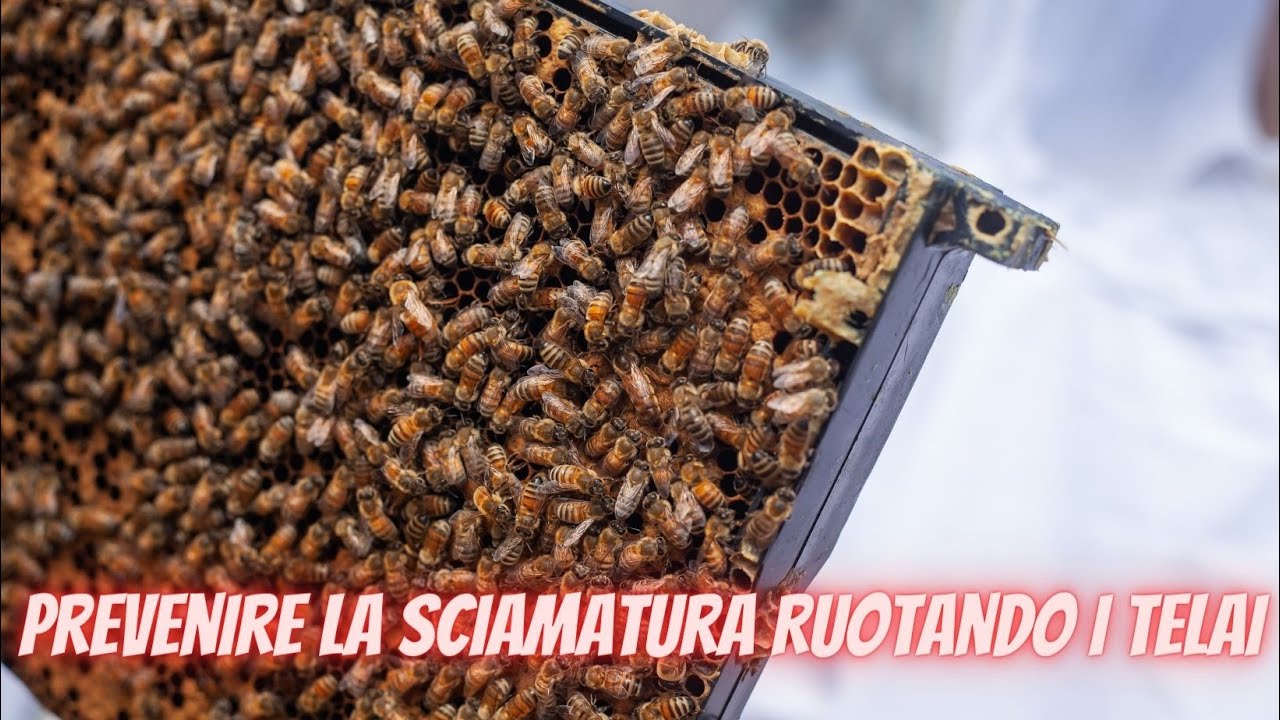 Prevenire la Sciamatura - Metodo 3, IL MIO METODO