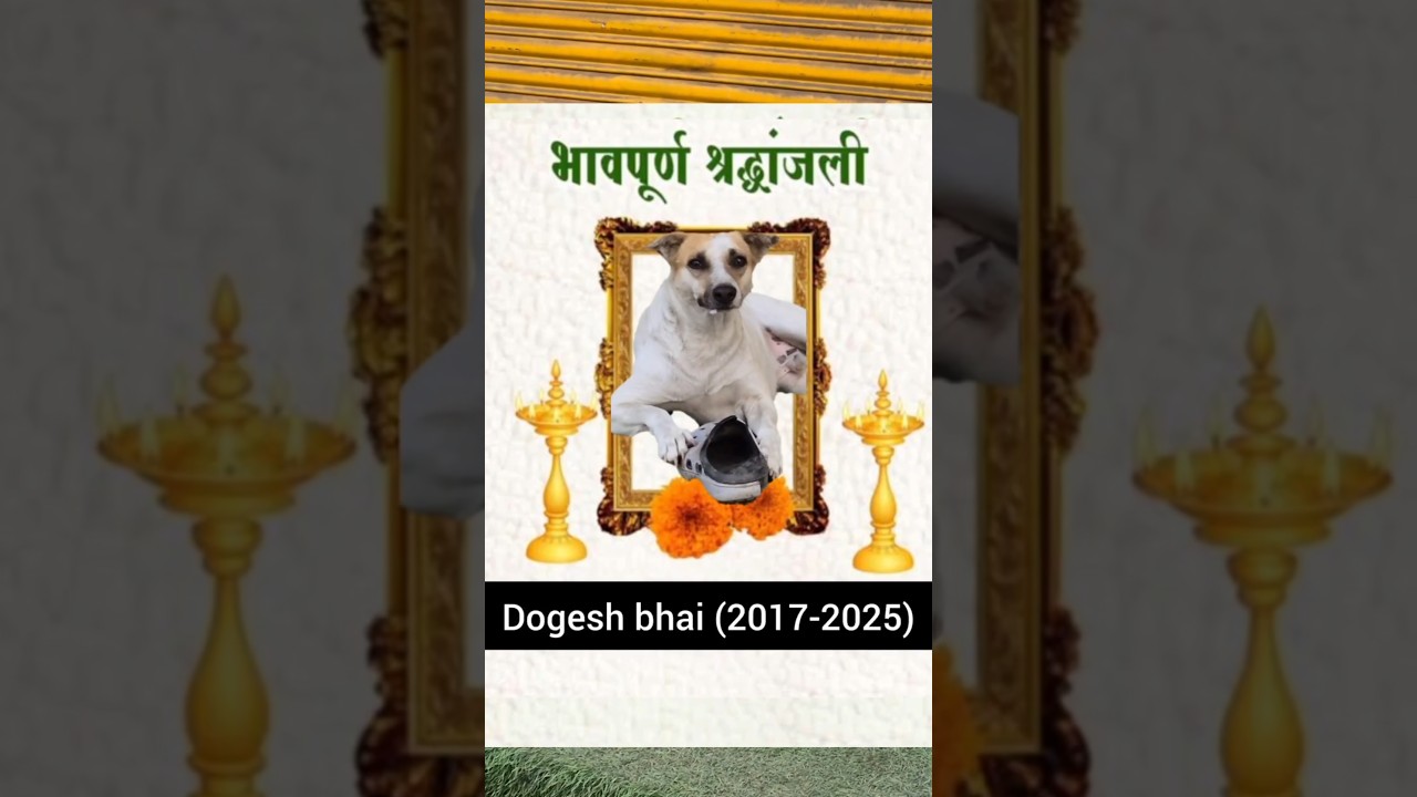 Dogesh bhai to gye 😁 #short #viral