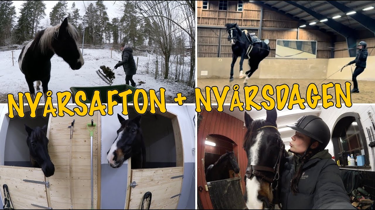 HÄSTARNA SOVER I NYTT STALL