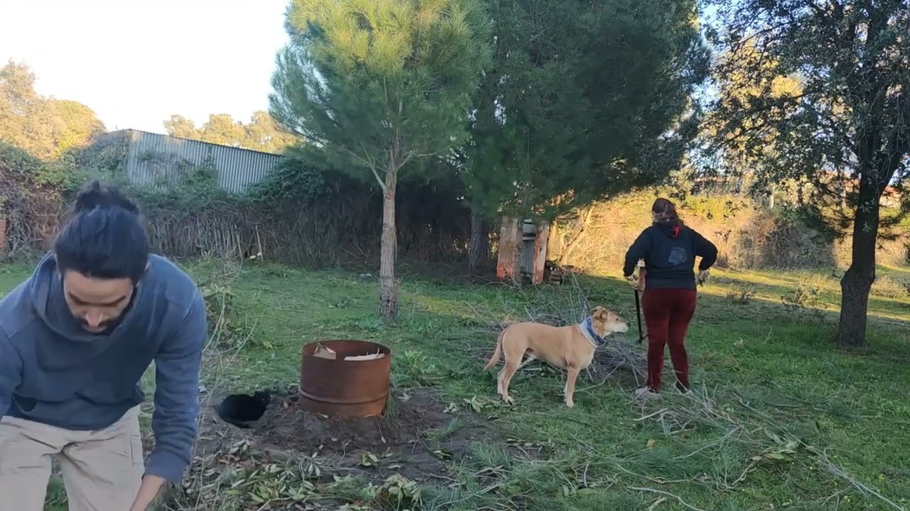 Biochar y Biotriturado As&iacute; aprovechos las podas - La casa de Los Ardillones VLOG 1