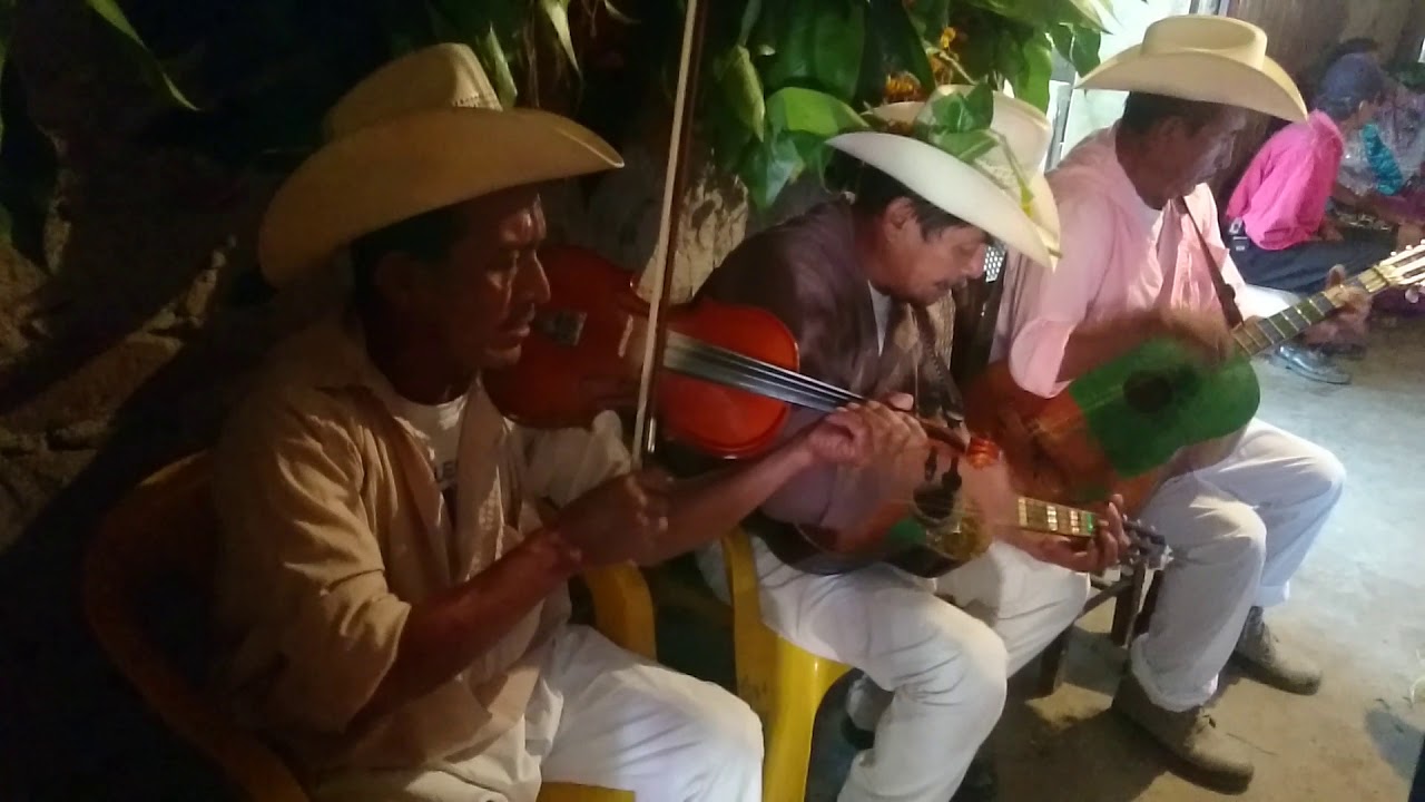 Puro huapango directamente desde Coahuitlán Veracruz