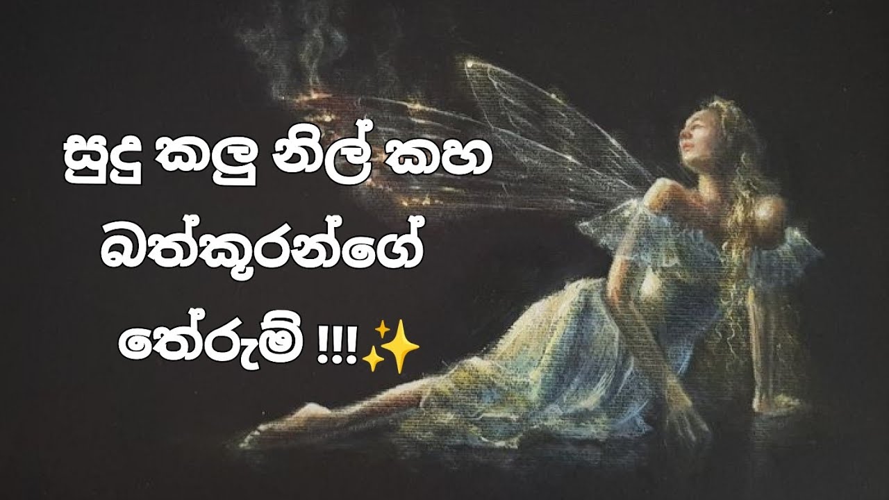 බත්කූරන් ගෙනෙන පණිවිඩ ආධ්‍යාත්මික ඇසින් 💜️✨️✨️ #universesigns #lawofattraction