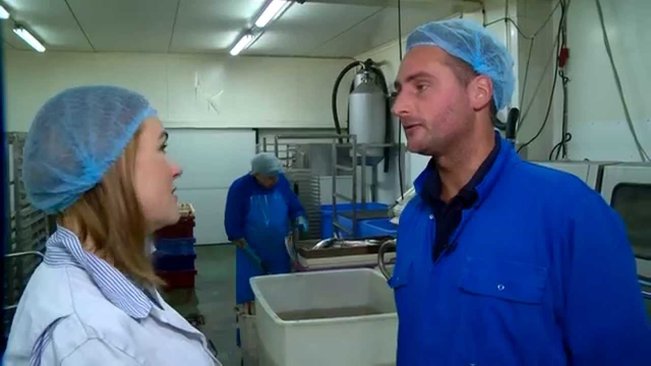 Esser haringgroothandel en rokerij