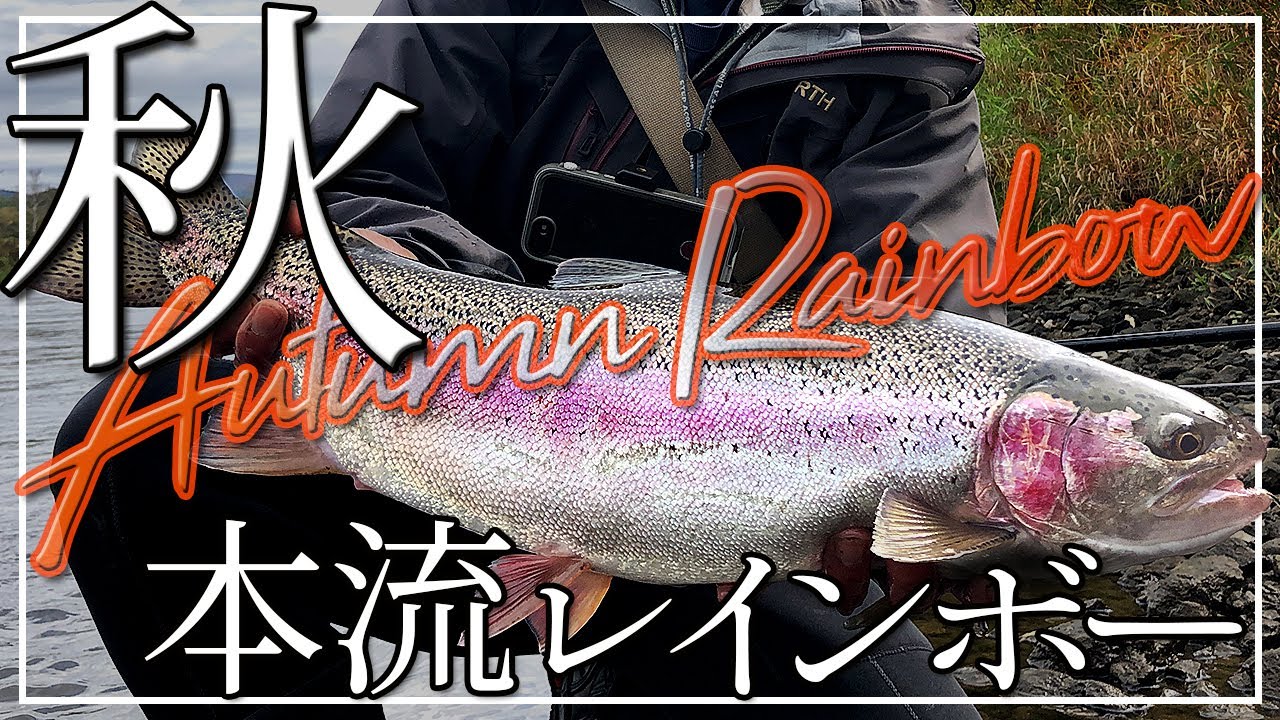 【フライフィッシング】秋の本流レインボー