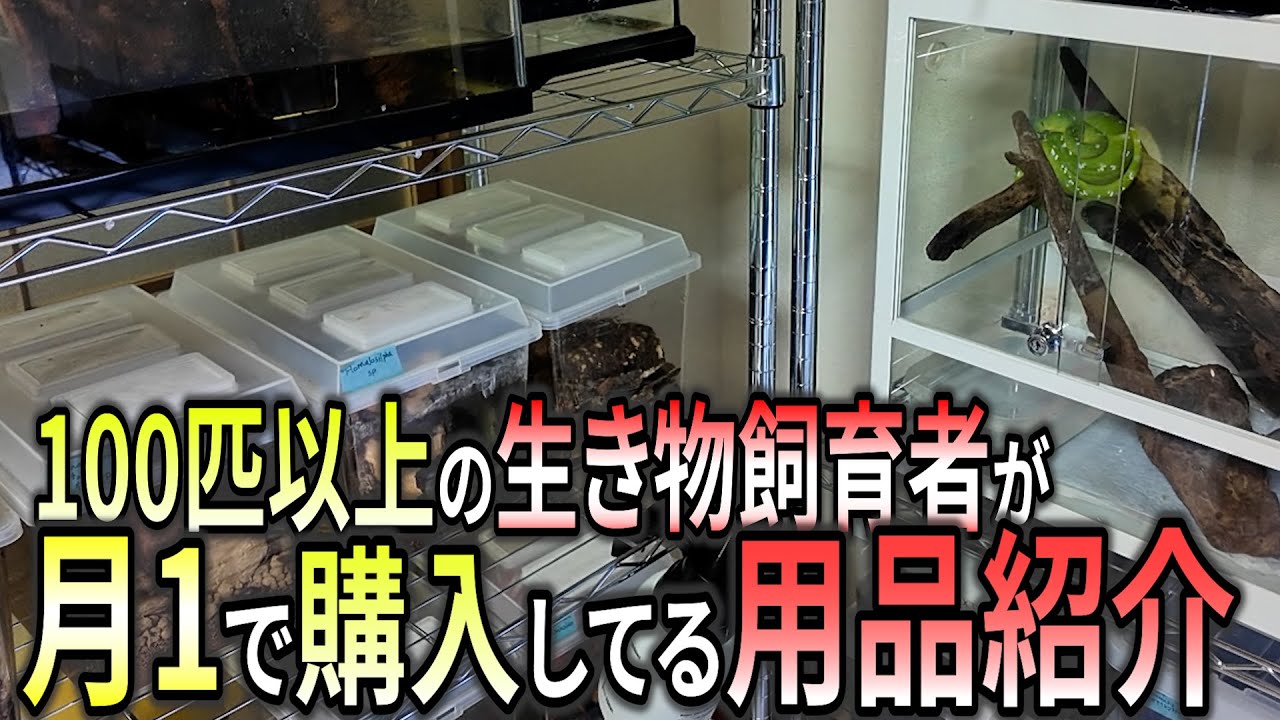 大量の生き物を飼育する男が定期的に買ってるもの