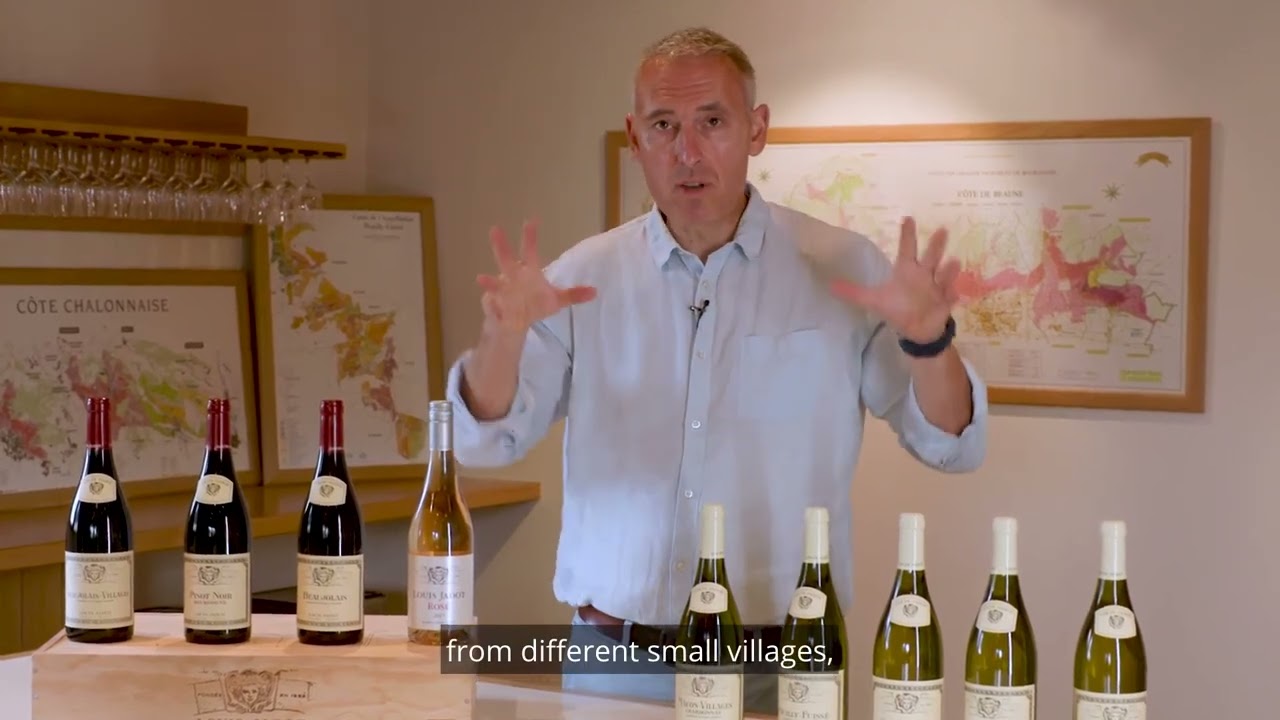 Louis Jadot Pouilly Fuisse NV
