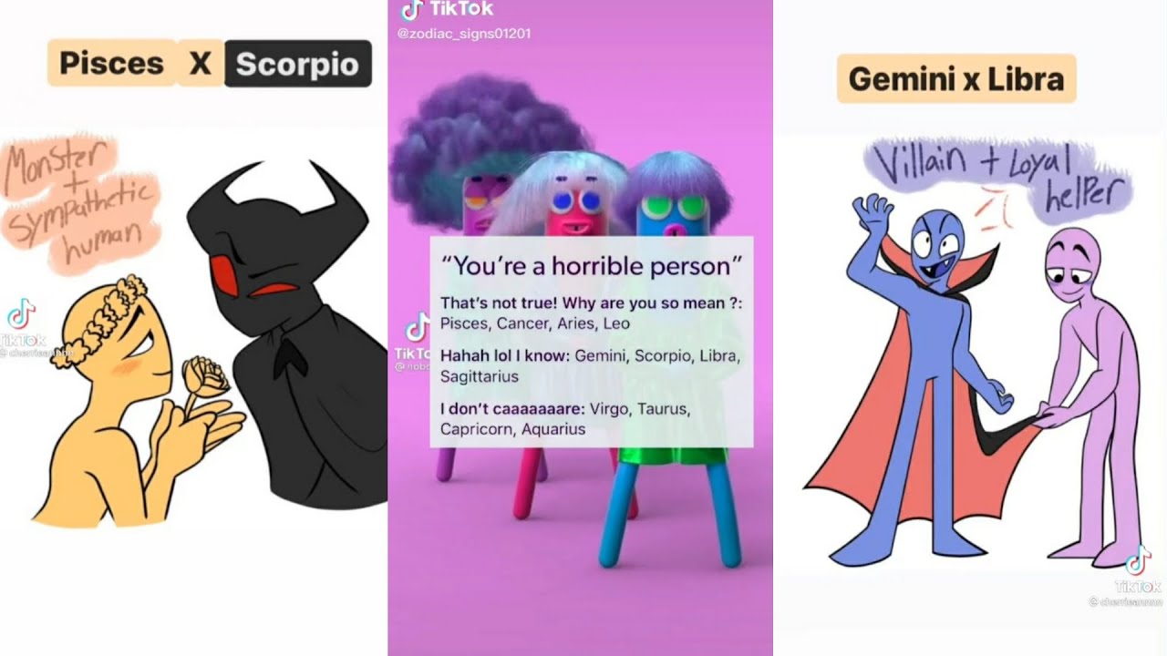 Zodiac Sign TikTok Compilation {Part 4}