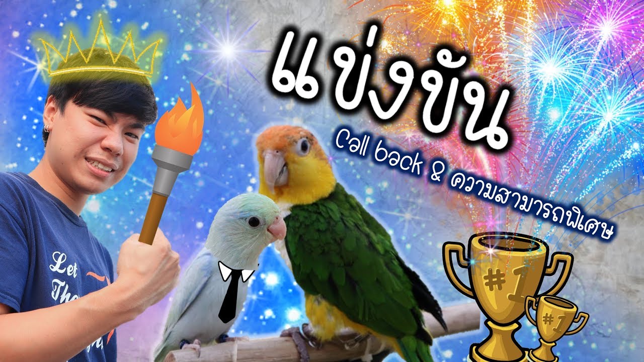 ลงแข่งขันนกแก้ว ครั้งแรกในชีวิต!! | My PET EP.9