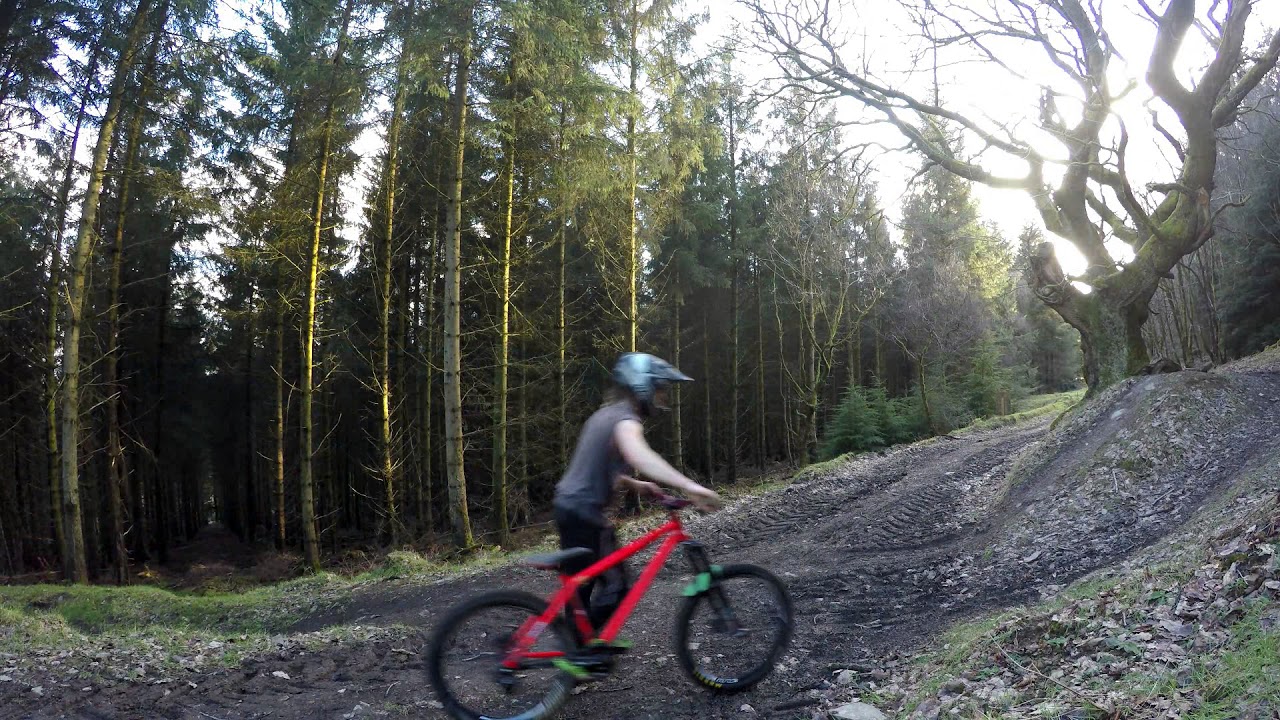 RAW HARDCORE HARDTAIL  - URGE TO SEND THE SURGE