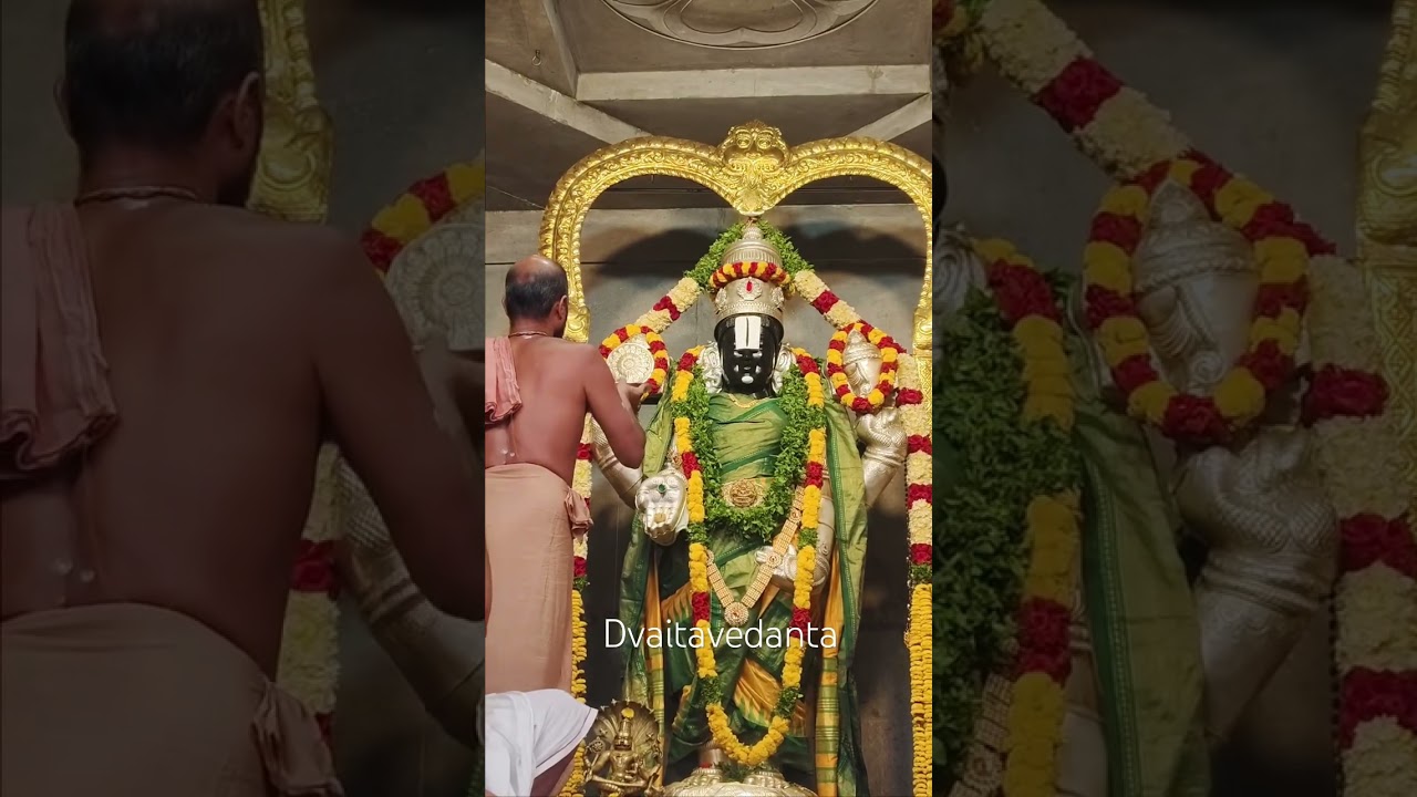 30th Chaturmasya highlights #uttaradimutt #devotional #satyatmatirtha_swamiji