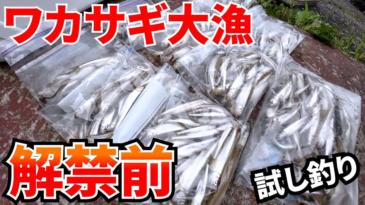 【2023】ワカサギ釣りシーズン解禁前の試し釣りが大漁だった件
