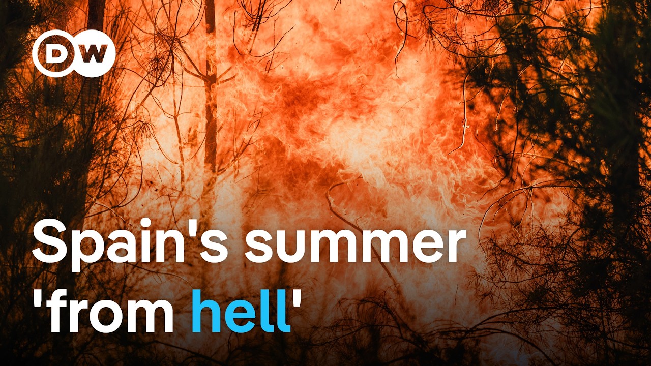 Deadly wildfires across Spain: Where are the worst-affected areas? | DW News